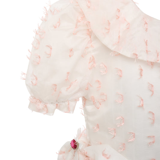 Hanakimi Kids Concert Dress