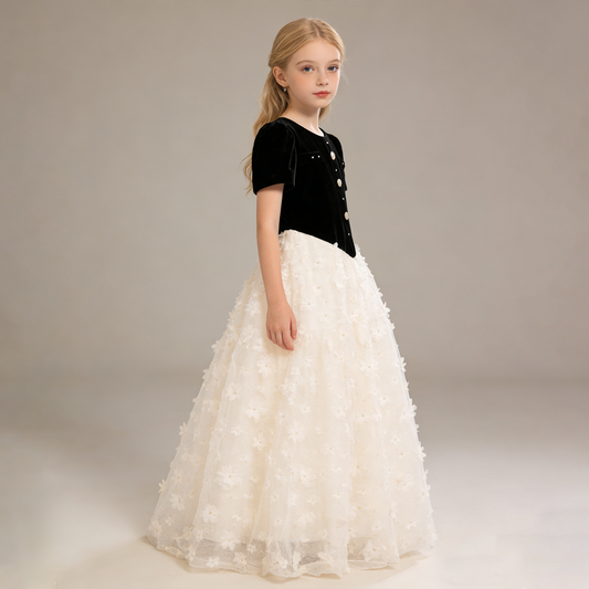 Ebony Velvet & Gold-Dusted Tulle Dress