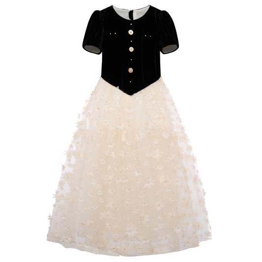 Ebony Velvet & Gold-Dusted Tulle Dress