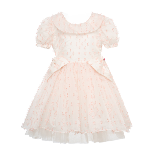 Pastel Petal Concert Princess Gown